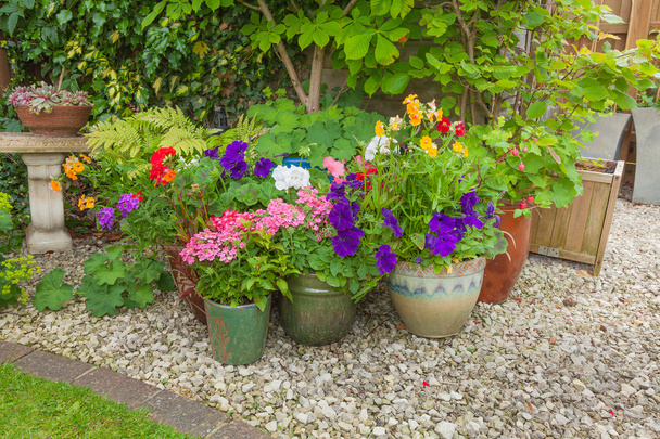 Colorful potted plants in garden corner. - Φωτογραφία, εικόνα
