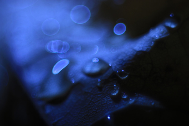 Blue blur background - Фото, изображение