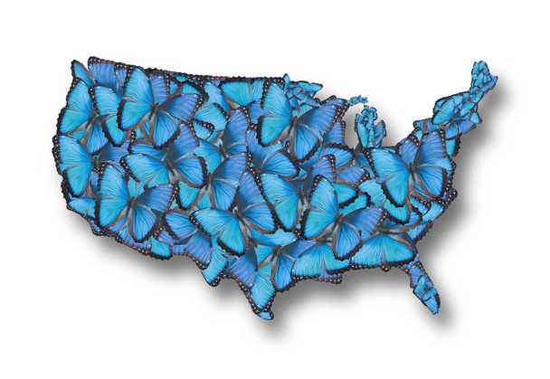 Mapa USA motýlů. - Fotografie, Obrázek