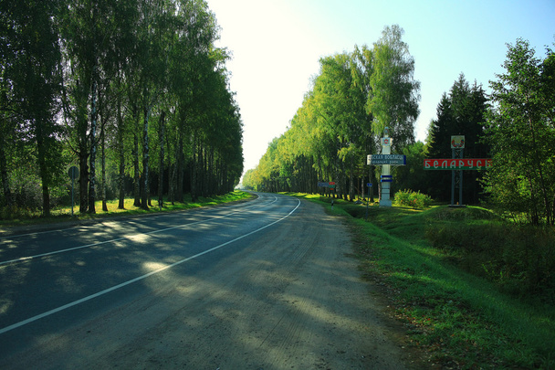Road in the autumn forest - Zdjęcie, obraz