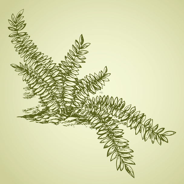 Fern. Vector drawing - Vector, Image