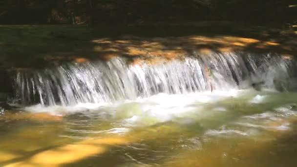 Река, протекающая через лес
 - Кадры, видео