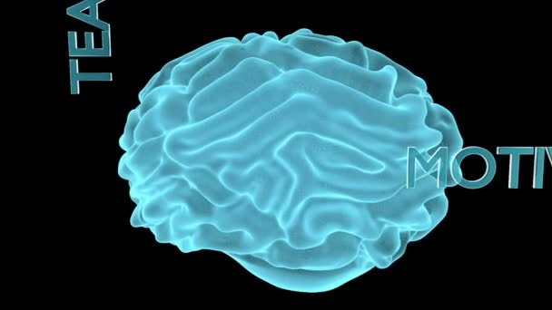 концепция мозгового штурма с бесшовным вращающимся мозгом и знаками
 - Кадры, видео