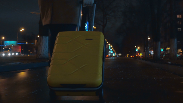 Ženské cestovatel chůzi ve městě s vozík bag - Záběry, video