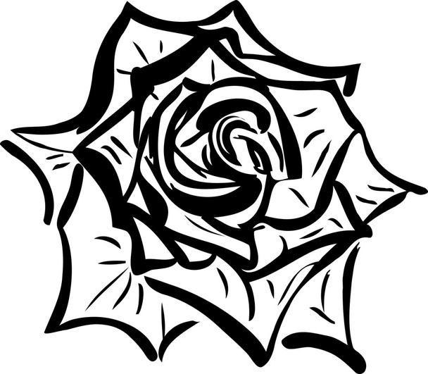 Soda sketch of a flower resembling a rose - Vector, afbeelding