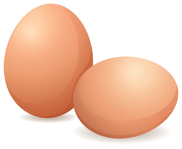Huevos crudos
 - Vector, imagen