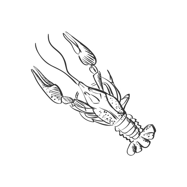doodle lobster - Vector, afbeelding