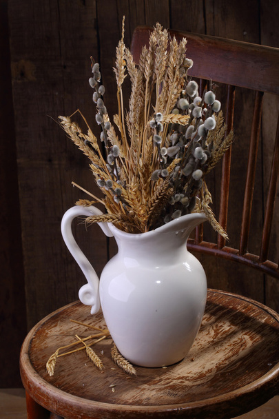 Bouquet from branches of a willow and cones in a white jug on a  - Foto, Imagem
