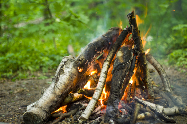夏の森のキャンプファイヤーのたき火 - 写真・画像