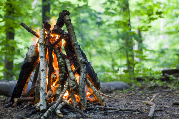 feu de joie, feu de camp dans la forêt d'été
 - Photo, image