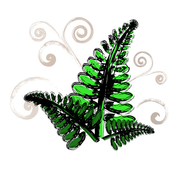 Painted fern leaves - Vector, Image