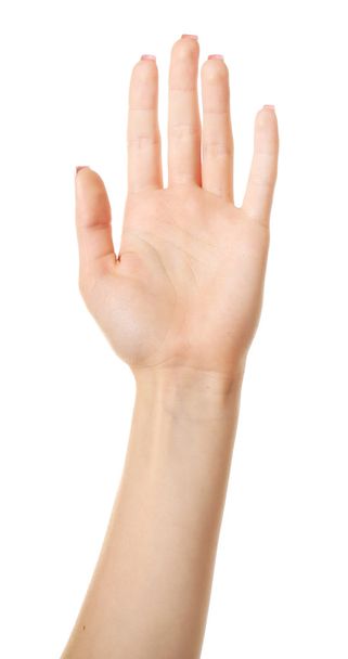 Female hand isolated on white - Фото, изображение