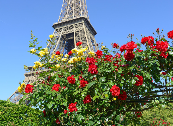 Eiffelova věž, Paříž, Francie - Fotografie, Obrázek