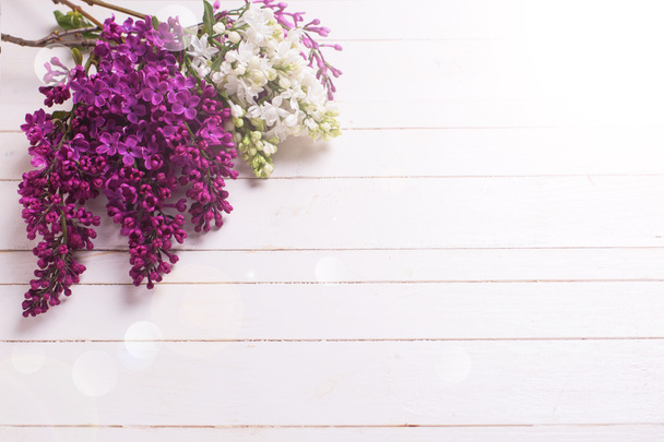 Fresh lilac flowers - Foto, imagen