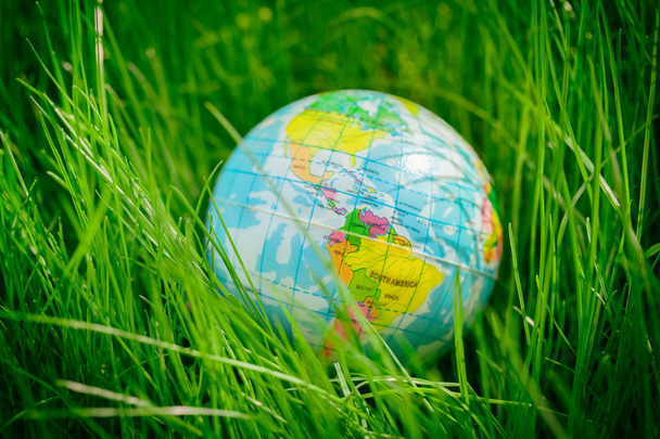 глобус на траве. день Земли, концепция окружающей среды
 - Фото, изображение