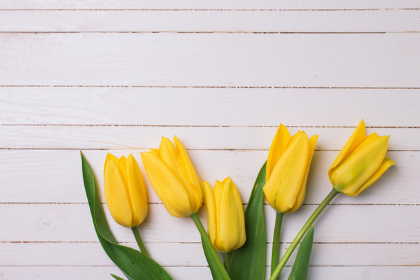 Bright  yellow tulips - Fotoğraf, Görsel