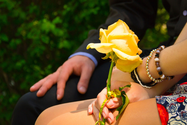 Hände mit einer Rose - Foto, Bild