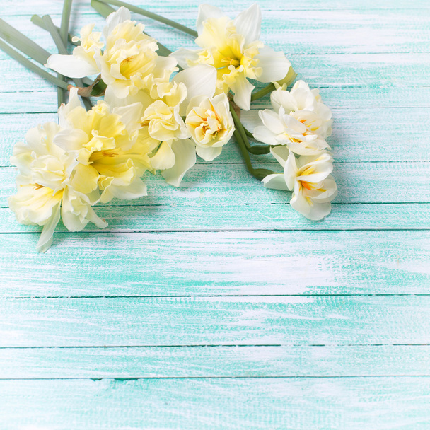 Fresh daffodils on wood - Valokuva, kuva