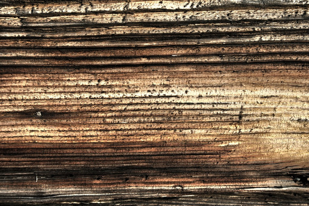 Wood texture old hdr - Foto, Imagem