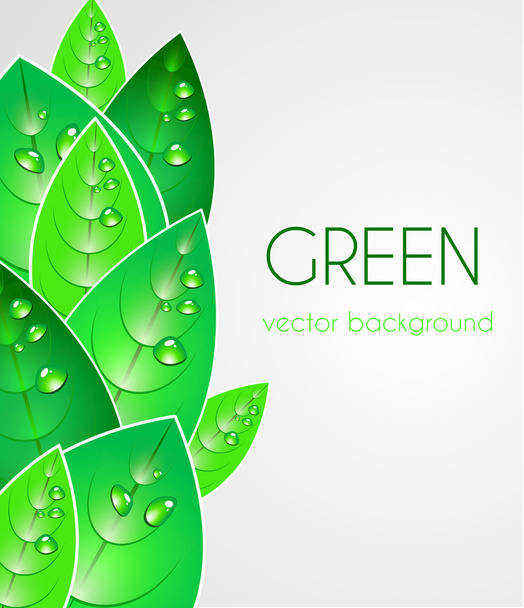 Abstract natural background - Vector, Image