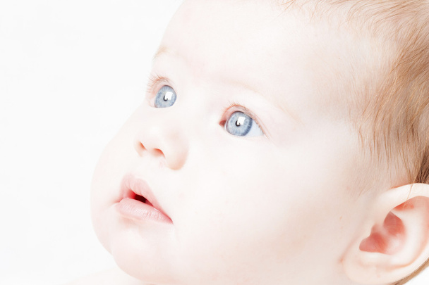 göz bebeği - Fotoğraf, Görsel