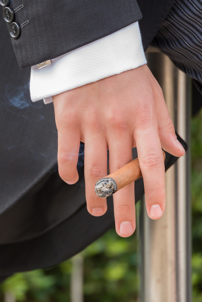 Hand of man in tails holding cigar - Фото, зображення