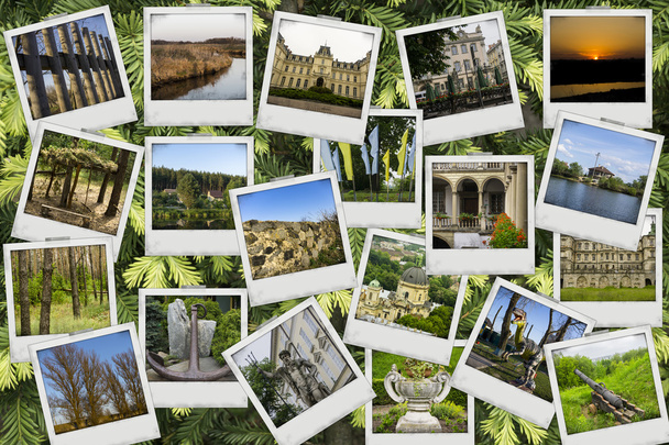 Mozaïek collage Meng reizen met foto's van verschillende plaatsen, landschappen en objecten neergeschoten door mezelf op jonge scheuten van pine tree achtergrond - Foto, afbeelding