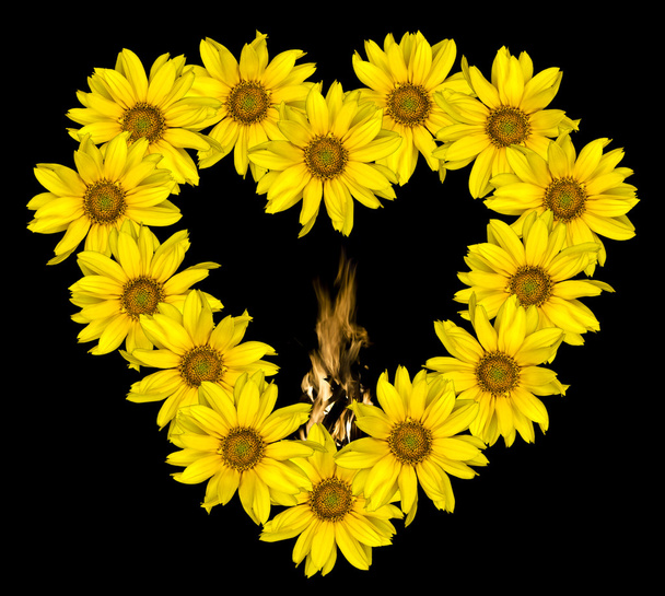 Серце жовті квіти, декоративні соняшника Helinthus та вогню полум'я всередині ізольовані на чорний - Фото, зображення