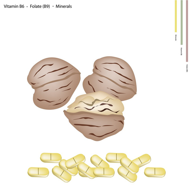 Saksanpähkinät B6-vitamiinin, B9-vitamiinin ja kivennäisaineiden kanssa
 - Vektori, kuva