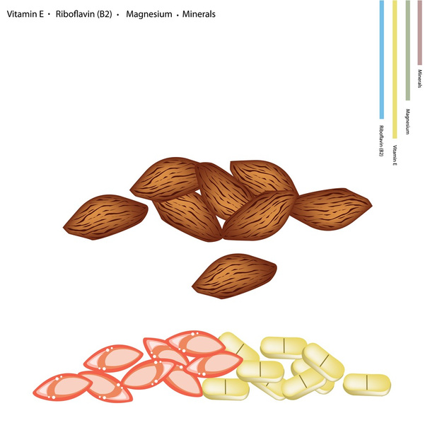 Almonds with Vitamin E, B2 and Minerals - Vektor, obrázek