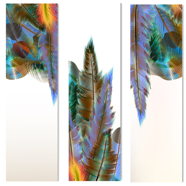 Brochures set with colorful feathers - Вектор,изображение