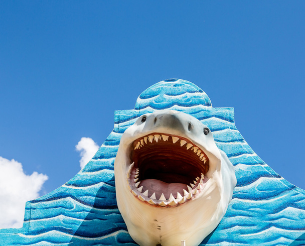 Mavi duvar beyaz köpekbalığı - Fotoğraf, Görsel