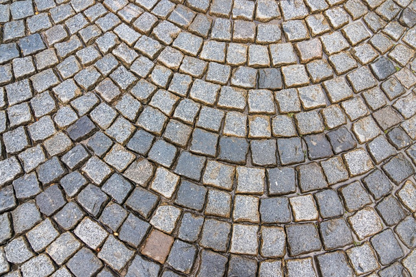 チェコ共和国の雨の後の灰色の石畳の舗装 - 写真・画像