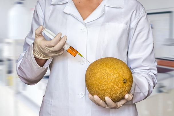 GMO experiment: Scientist injecting liquid from syringe into yellow melon in agricultural research laboratory - Photo, Image