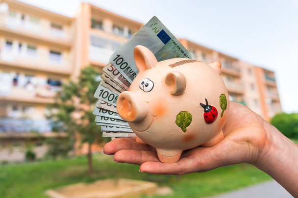 Piggy bank and euro money in buyer's hand - Foto, afbeelding