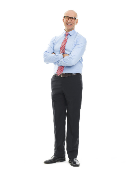 executive financial adviser standing - Foto, afbeelding