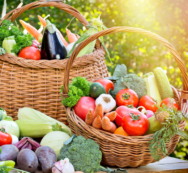 Seasonal fresh organic vegetables - Photo, Image