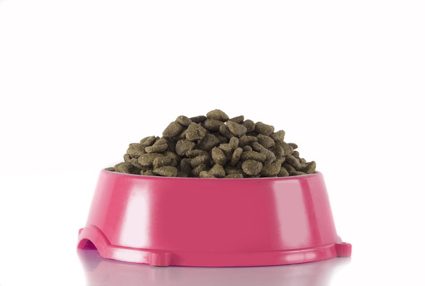 Nourriture pour chien dans un bol rose, fond studio blanc
 - Photo, image