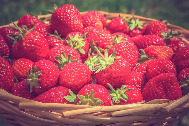 Fresh red strawberries in wooden knitting basket - Φωτογραφία, εικόνα