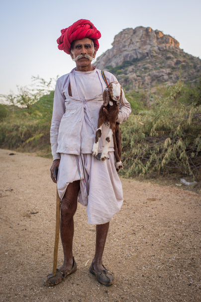 Elderly Rabari tribesman holds goatling - Photo, image