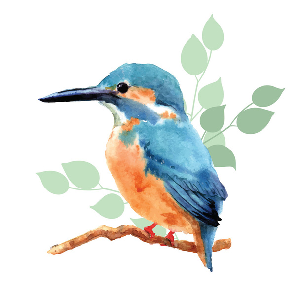 手描き水彩の鳥 - ベクター画像