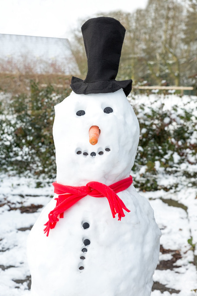 Sneeuwpop dragen zwarte muts en sjaal - Foto, afbeelding