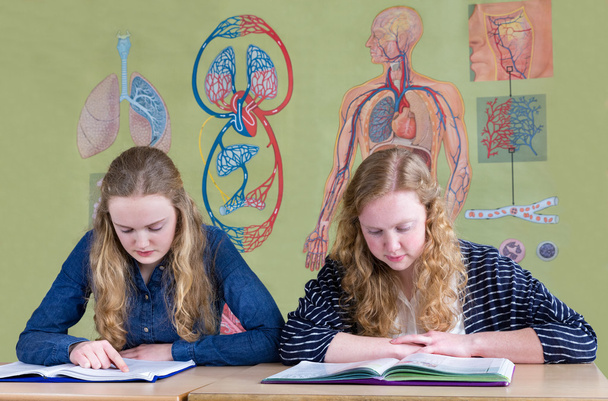 Twee Nederlandse tienermeisjes lezen van tekstboeken met biologie muur cha - Foto, afbeelding