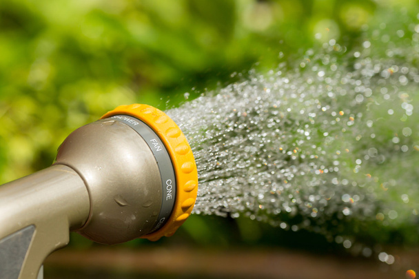 Adjustable water sprayer - Photo, Image