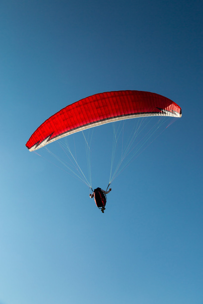 Paragliding - Photo, image