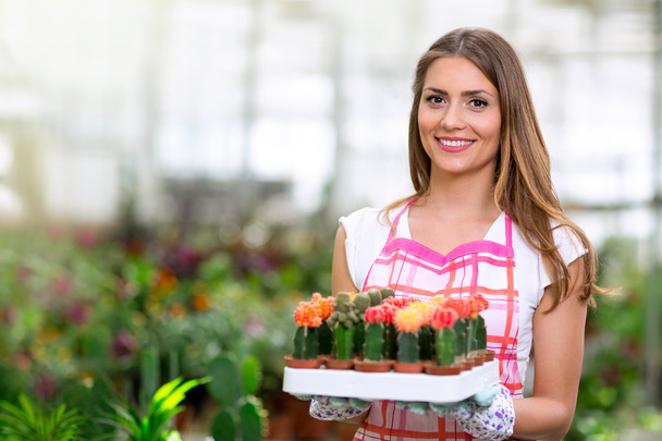 woman holding a cactus in greenhouse - Foto, Bild