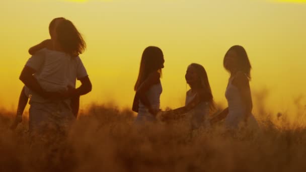 parents with daughters on meadow at sunset - Footage, Video