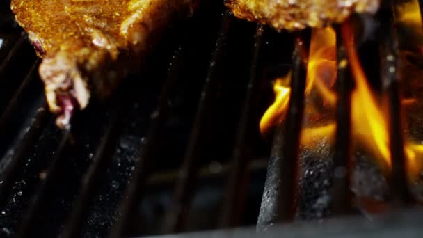Οργανικά υγιή διαβίωση χαμηλή φλόγα λίπους σχάρα βόειο κρέας Bbq γεύμα μπριζόλα T-Bone επιλογή - Πλάνα, βίντεο