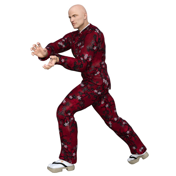 Mestre de Kung fu
 - Foto, Imagem