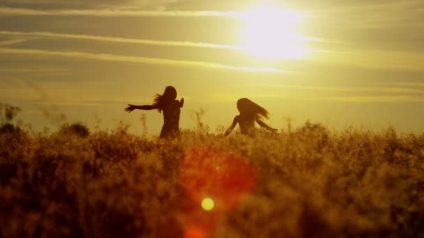 дівчата розважаються на відкритому повітрі в полі
 - Кадри, відео